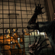 Illustration for article titled PSA: The Walking Deads i400 Days/i DLC is out this week